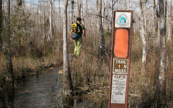 The trail was 60% mud, 20% water, and 20% dry grass. I was not prepared for how exhausting walking in the mud, or "slogging," is.