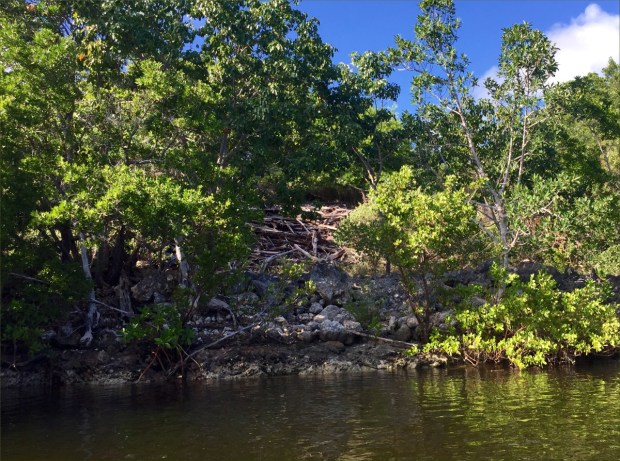 KeyLargoNov2015_002_1200