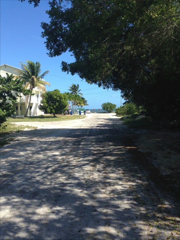 KeyLargoNov2015_010_1200