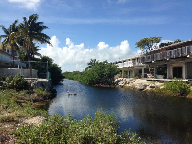 KeyLargoNov2015_011_1200