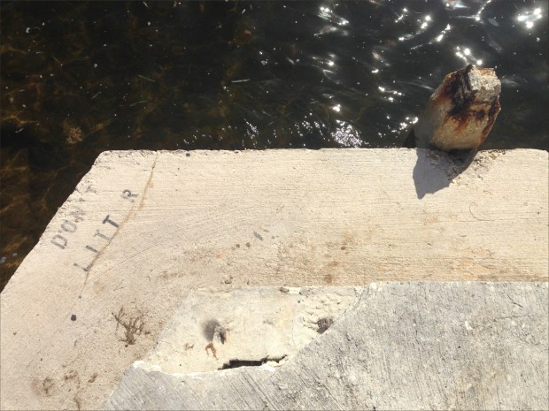 KeyLargoNov2015_013_1200