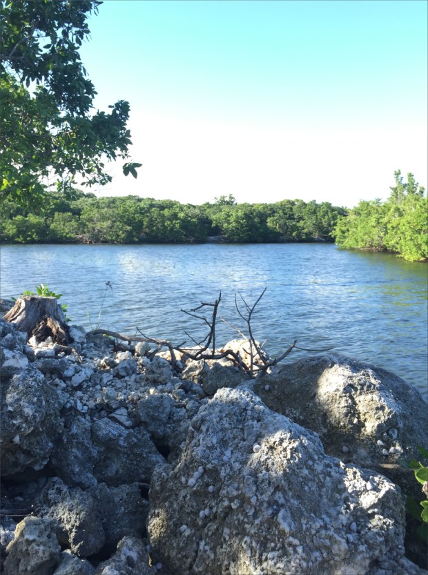 KeyLargoNov2015_016_1200