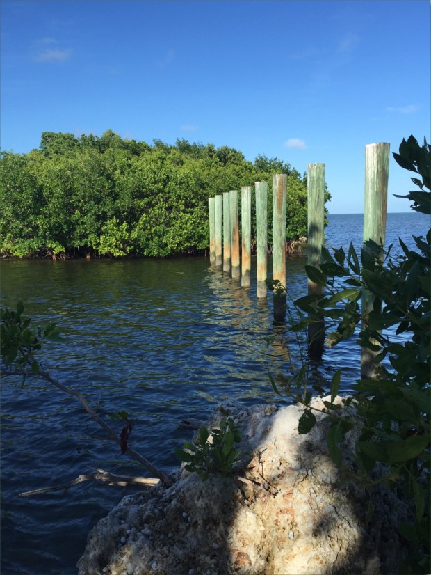 KeyLargoNov2015_017_1200