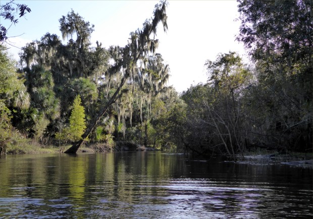 PeaceRiverNov2015007