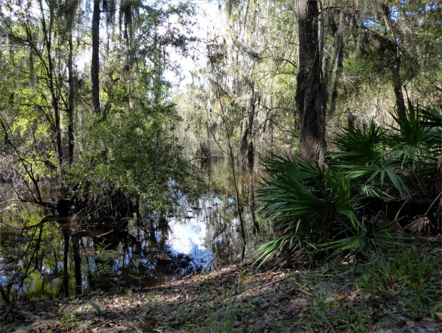 PeaceRiverNov2015027