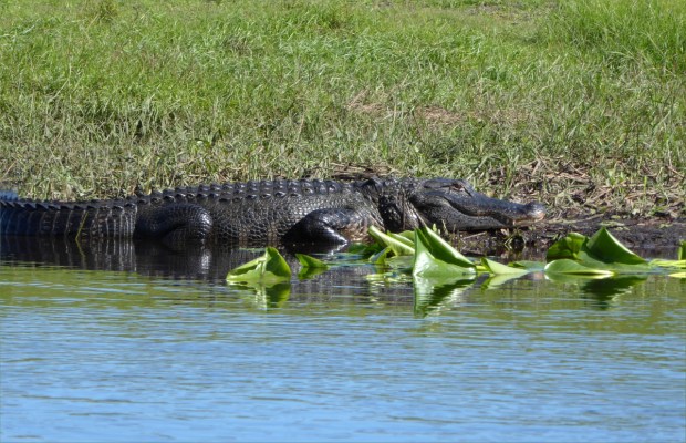 PeaceRiverNov2015031