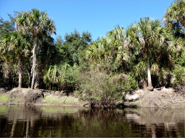 PeaceRiverNov2015032