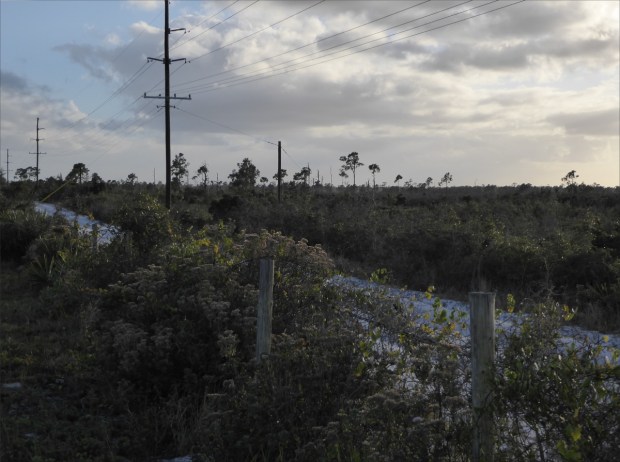 PeaceRiverNov2015034