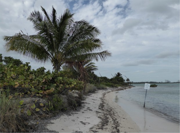 Restricted section of beach where fossil reef is, Jan 2016