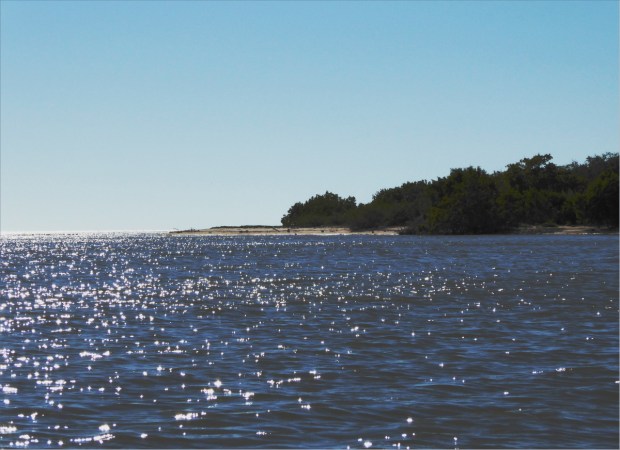 P1000815_edited_1200