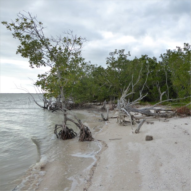 P1000901_edited_1200