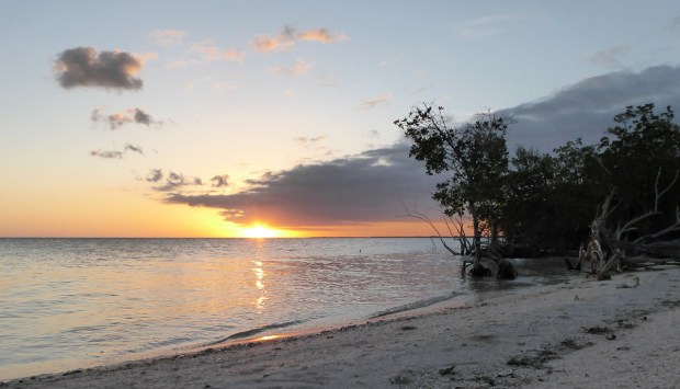 P1000922_edited_1200