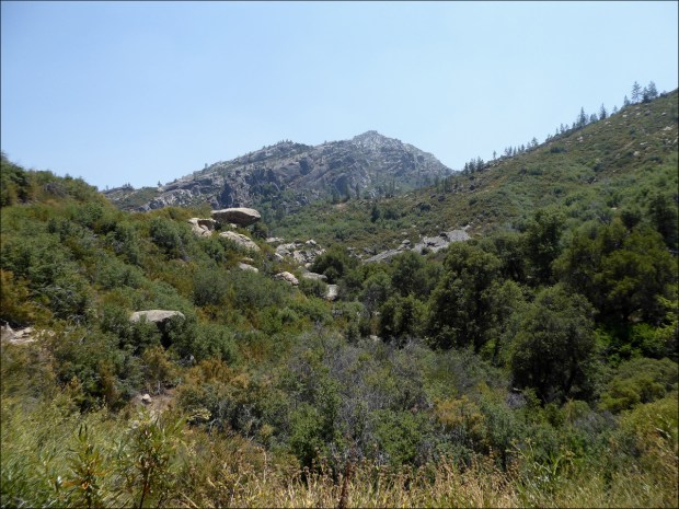 Pinyon-juniper woodland with rocky outcrop